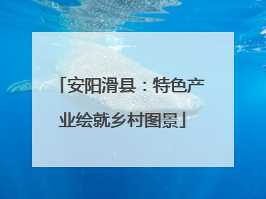 安阳滑县：特色产业绘就乡村图景