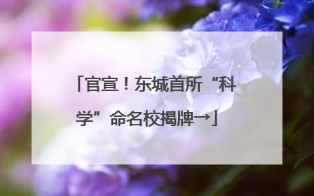 官宣！东城首所“科学”命名校揭牌→