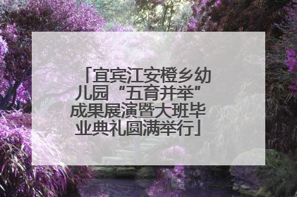 宜宾江安橙乡幼儿园“五育并举”成果展演暨大班毕业典礼圆满举行