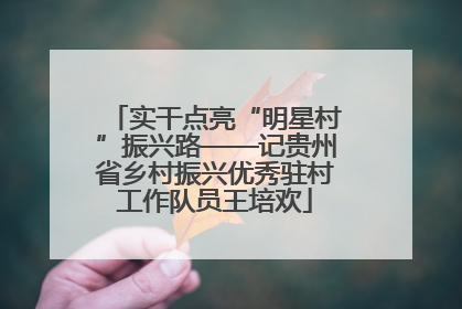 实干点亮“明星村”振兴路——记贵州省乡村振兴优秀驻村工作队员王培欢