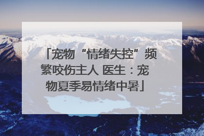 宠物“情绪失控”频繁咬伤主人 医生：宠物夏季易情绪中暑