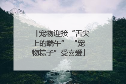 宠物迎接“舌尖上的端午” “宠物粽子”受喜爱