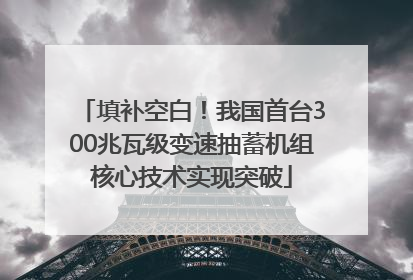 填补空白！我国首台300兆瓦级变速抽蓄机组核心技术实现突破