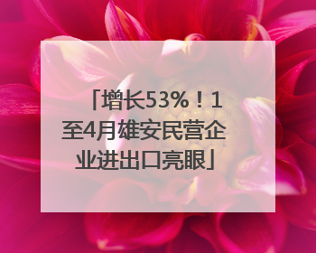 增长53%！1至4月雄安民营企业进出口亮眼