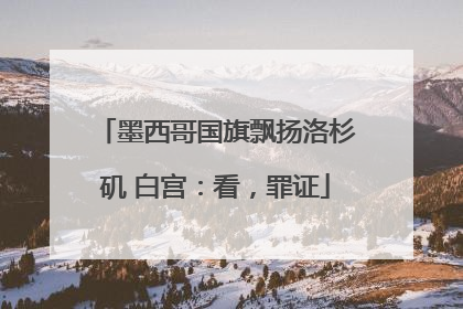 墨西哥国旗飘扬洛杉矶 白宫：看，罪证