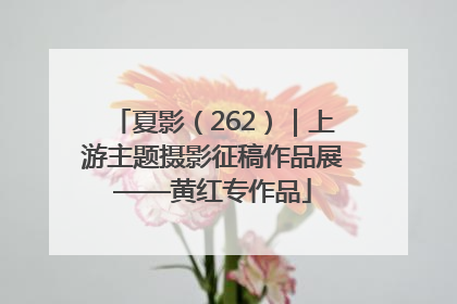 夏影（262）｜上游主题摄影征稿作品展——黄红专作品