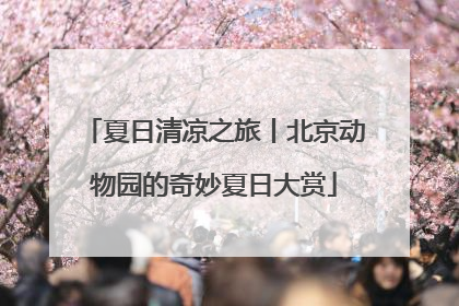 夏日清凉之旅丨北京动物园的奇妙夏日大赏