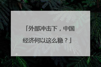 外部冲击下，中国经济何以这么稳？