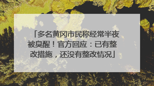 多名黄冈市民称经常半夜被臭醒！官方回应：已有整改措施，还没有整改情况