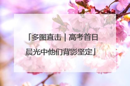 多图直击｜高考首日 晨光中他们背影坚定
