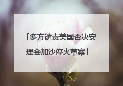 多方谴责美国否决安理会加沙停火草案