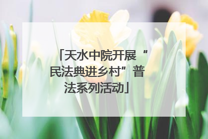 天水中院开展“民法典进乡村”普法系列活动