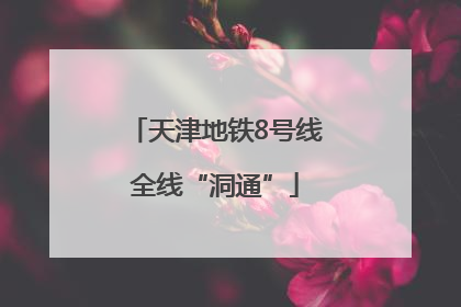 天津地铁8号线全线“洞通”