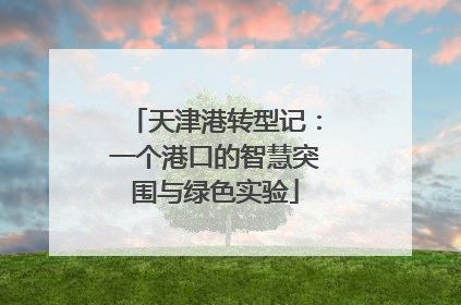 天津港转型记：一个港口的智慧突围与绿色实验