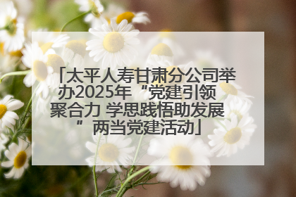 太平人寿甘肃分公司举办2025年“党建引领聚合力 学思践悟助发展”两当党建活动