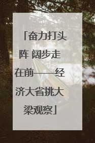 奋力打头阵 阔步走在前——经济大省挑大梁观察
