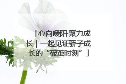 心向暖阳·聚力成长｜一起见证骄子成长的“破茧时刻”