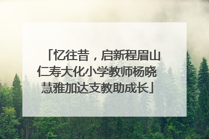 忆往昔，启新程眉山仁寿大化小学教师杨晓慧雅加达支教助成长