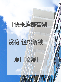 快来莲都碧湖赏荷 轻松解锁夏日浪漫