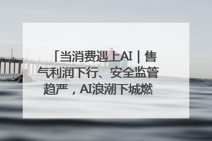 当消费遇上AI｜售气利润下行、安全监管趋严，AI浪潮下城燃企业如何破局