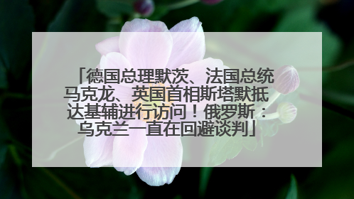 德国总理默茨、法国总统马克龙、英国首相斯塔默抵达基辅进行访问！俄罗斯：乌克兰一直在回避谈判