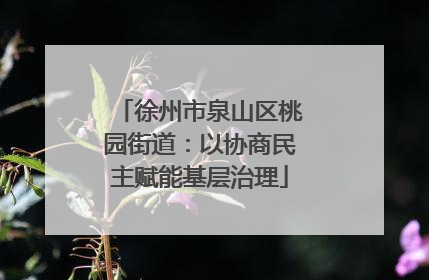 徐州市泉山区桃园街道：以协商民主赋能基层治理