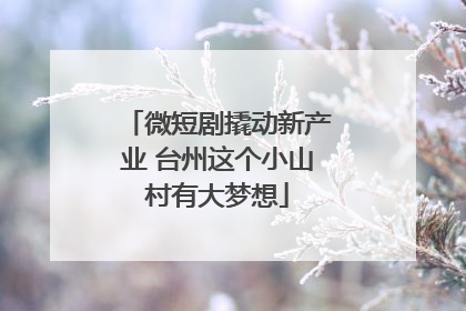 微短剧撬动新产业 台州这个小山村有大梦想