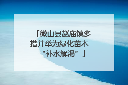 微山县赵庙镇多措并举为绿化苗木“补水解渴”