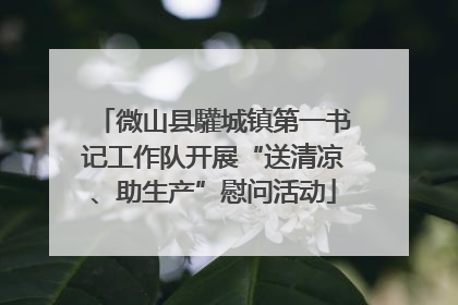 微山县驩城镇第一书记工作队开展“送清凉、助生产”慰问活动