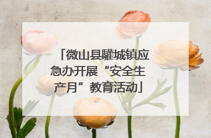 微山县驩城镇应急办开展“安全生产月”教育活动