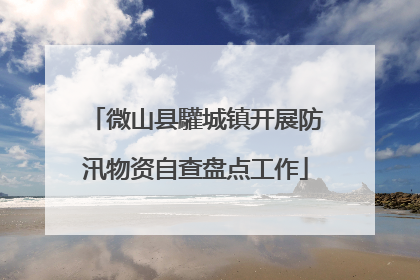 微山县驩城镇开展防汛物资自查盘点工作
