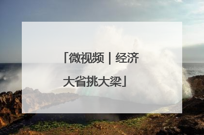 微视频｜经济大省挑大梁