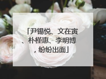 尹锡悦、文在寅、朴槿惠、李明博，纷纷出面