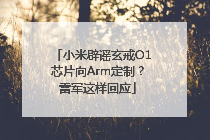 小米辟谣玄戒O1芯片向Arm定制？雷军这样回应