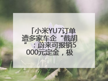 小米YU7订单遭多家车企“截胡”：蔚来可报销5000元定金，极氪送积分；何小鹏下单YU7，喊话雷军早点交付