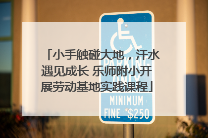 小手触碰大地，汗水遇见成长 乐师附小开展劳动基地实践课程
