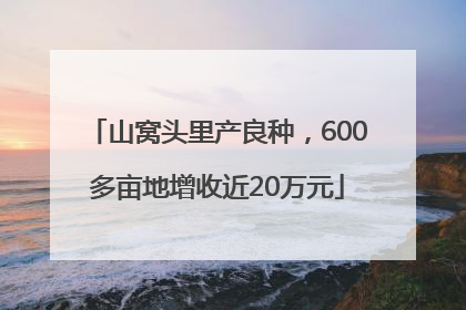 山窝头里产良种，600多亩地增收近20万元