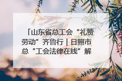 山东省总工会“礼赞劳动”齐鲁行｜日照市总“工会法律在线”解决职工愁“薪”事