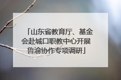 山东省教育厅、基金会赴城口职教中心开展鲁渝协作专项调研