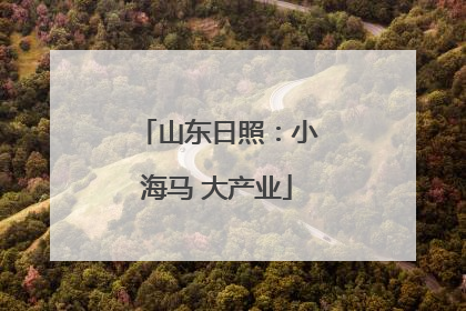 山东日照：小海马 大产业