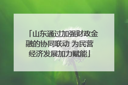 山东通过加强财政金融的协同联动 为民营经济发展加力赋能
