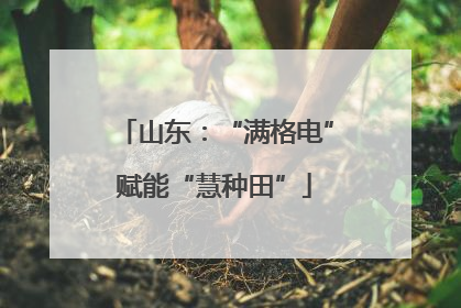 山东：“满格电”赋能“慧种田”