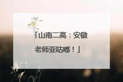 山南二高：安徽老师亚咕嘟！