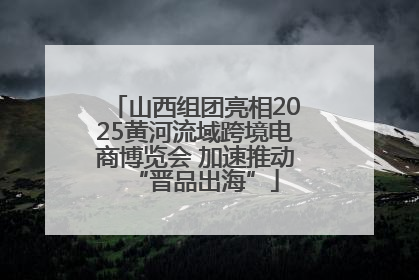 山西组团亮相2025黄河流域跨境电商博览会 加速推动“晋品出海”