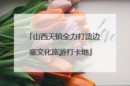 山西天镇全力打造边塞文化旅游打卡地