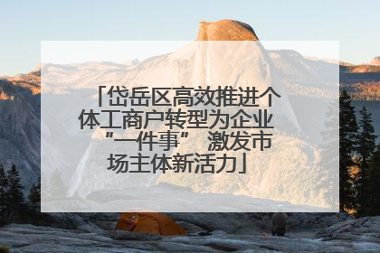 岱岳区高效推进个体工商户转型为企业“一件事” 激发市场主体新活力