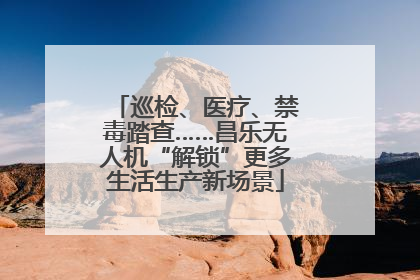 巡检、医疗、禁毒踏查……昌乐无人机“解锁”更多生活生产新场景