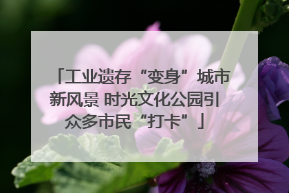 工业遗存“变身”城市新风景 时光文化公园引众多市民“打卡”