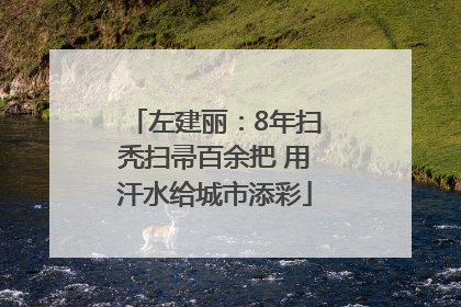 左建丽：8年扫秃扫帚百余把 用汗水给城市添彩