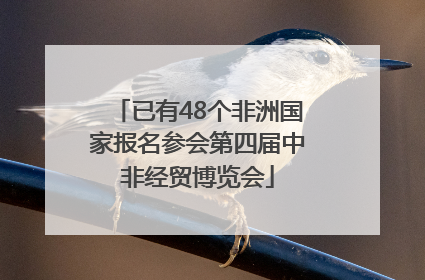已有48个非洲国家报名参会第四届中非经贸博览会